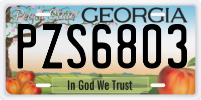 GA license plate PZS6803