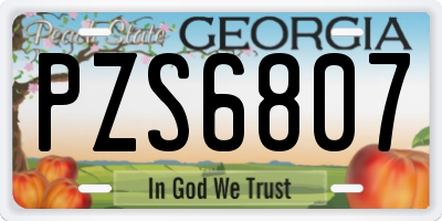 GA license plate PZS6807