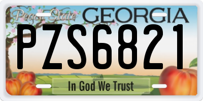 GA license plate PZS6821