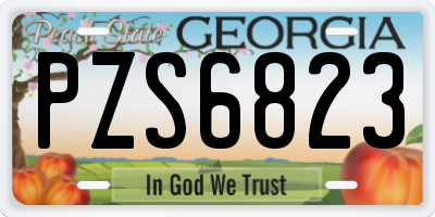 GA license plate PZS6823