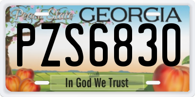 GA license plate PZS6830