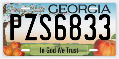 GA license plate PZS6833