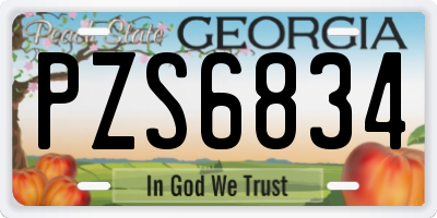 GA license plate PZS6834