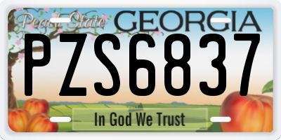 GA license plate PZS6837