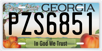 GA license plate PZS6851