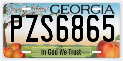 GA license plate PZS6865