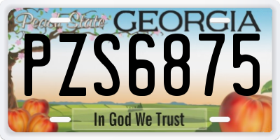 GA license plate PZS6875