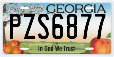GA license plate PZS6877