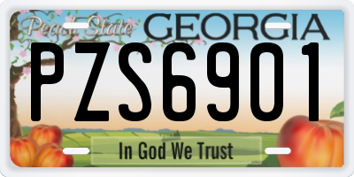 GA license plate PZS6901