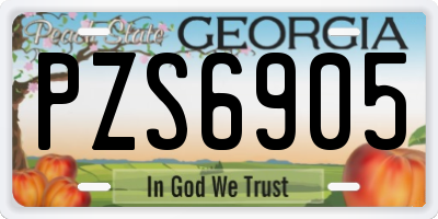 GA license plate PZS6905