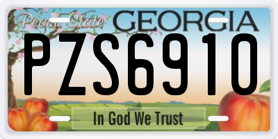 GA license plate PZS6910