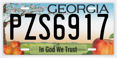 GA license plate PZS6917