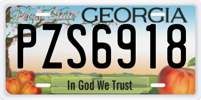 GA license plate PZS6918