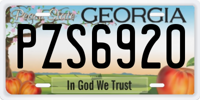 GA license plate PZS6920