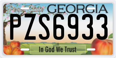 GA license plate PZS6933