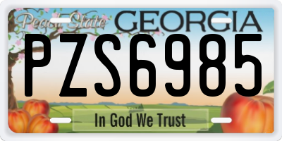 GA license plate PZS6985