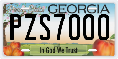 GA license plate PZS7000