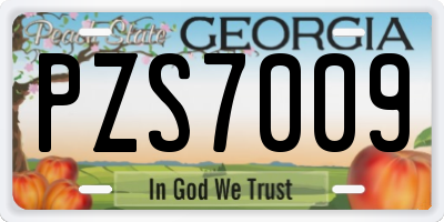 GA license plate PZS7009