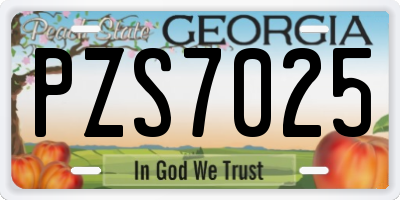 GA license plate PZS7025