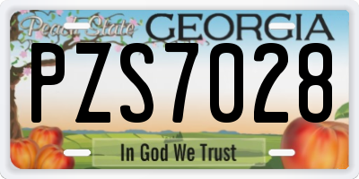 GA license plate PZS7028
