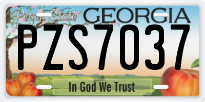 GA license plate PZS7037
