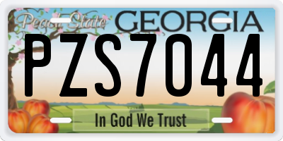 GA license plate PZS7044
