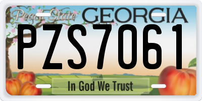 GA license plate PZS7061