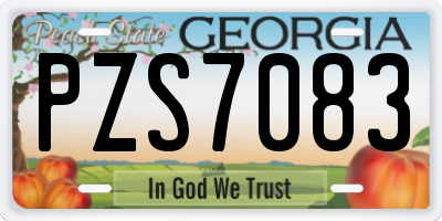 GA license plate PZS7083