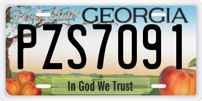GA license plate PZS7091