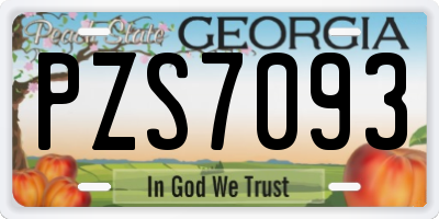 GA license plate PZS7093
