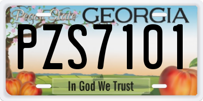 GA license plate PZS7101