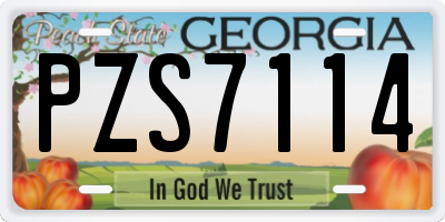 GA license plate PZS7114