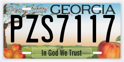 GA license plate PZS7117
