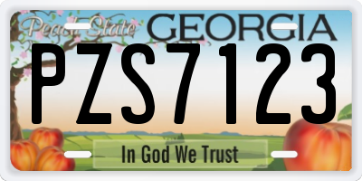 GA license plate PZS7123