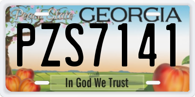 GA license plate PZS7141