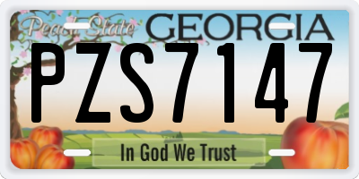 GA license plate PZS7147