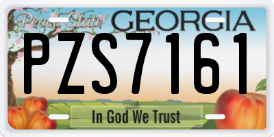 GA license plate PZS7161