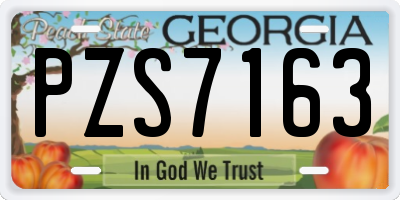 GA license plate PZS7163