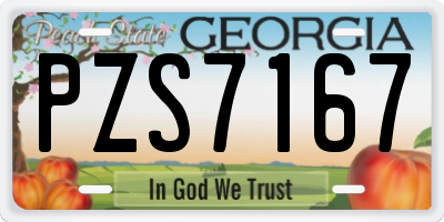 GA license plate PZS7167