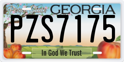 GA license plate PZS7175