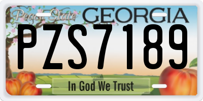 GA license plate PZS7189