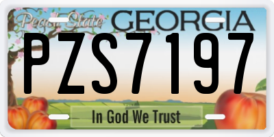 GA license plate PZS7197
