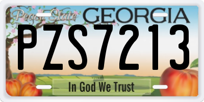 GA license plate PZS7213