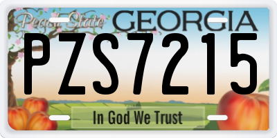 GA license plate PZS7215