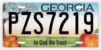 GA license plate PZS7219