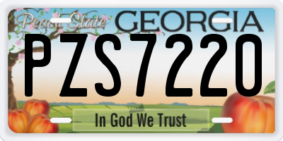GA license plate PZS7220