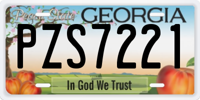 GA license plate PZS7221