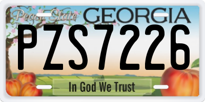 GA license plate PZS7226