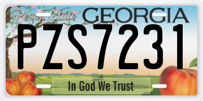 GA license plate PZS7231