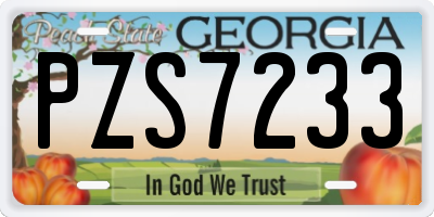 GA license plate PZS7233